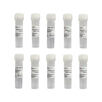 Ampicillin oldat (100 mg/ml)