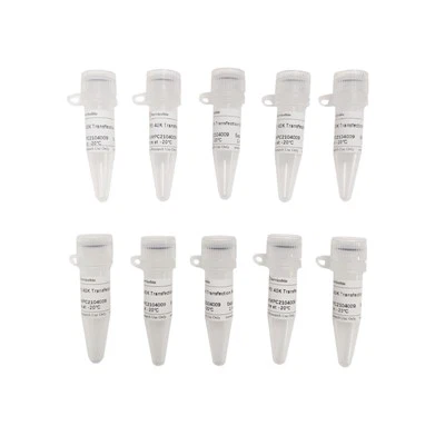 PEI 40K transzfekciós reagens